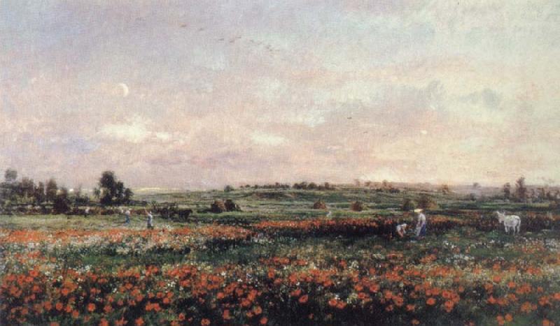 Charles Francois Daubigny Poppy Field oil painting image
